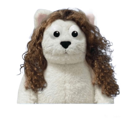 Curly Hair Cat